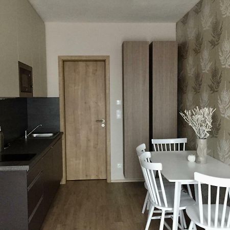Zlaty Apartman Dolní Morava 外观 照片