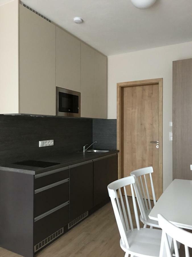 Zlaty Apartman Dolní Morava 外观 照片