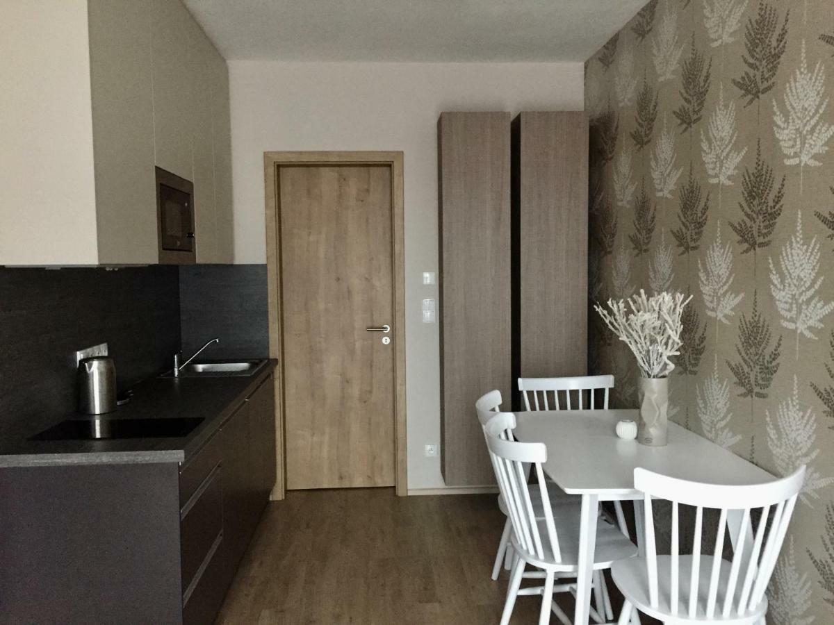 Zlaty Apartman Dolní Morava 外观 照片